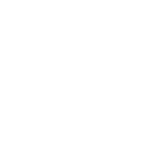 BroadVoice_white_logo - Industry 5.0 Blank white image with no visible content.
